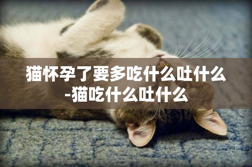 貓懷孕了要多吃什么吐什么-貓吃什么吐什么