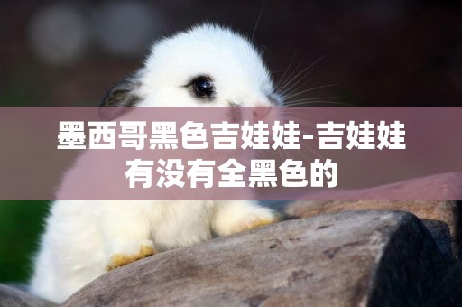 墨西哥黑色吉娃娃-吉娃娃有沒有全黑色的