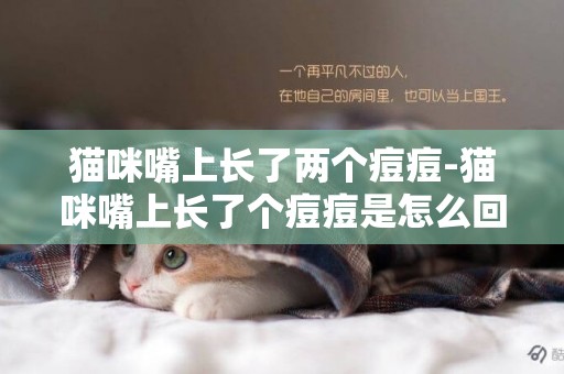 貓咪嘴上長了兩個痘痘-貓咪嘴上長了個痘痘是怎么回事? 我家的小貓咪 這幾天才發現它嘴上貌似長了個痘痘