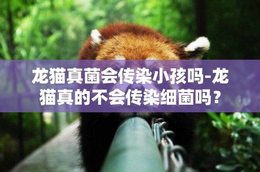 龍貓真菌會傳染小孩嗎-龍貓真的不會傳染細菌嗎？