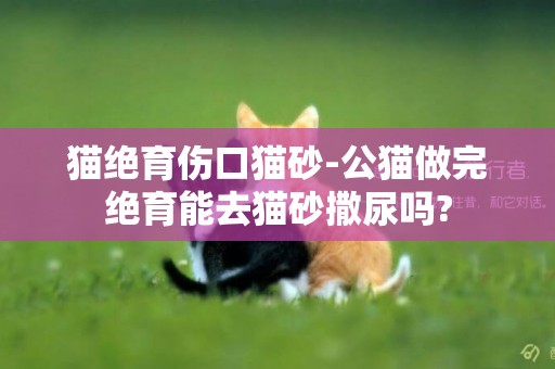 貓絕育傷口貓砂-公貓做完絕育能去貓砂撒尿嗎?