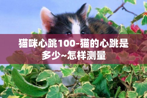 貓咪心跳100-貓的心跳是多少~怎樣測量