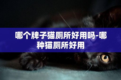 哪個牌子貓廁所好用嗎-哪種貓廁所好用