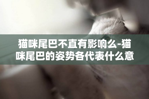 貓咪尾巴不直有影響么-貓咪尾巴的姿勢各代表什么意思？