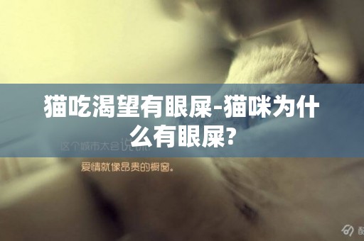 貓吃渴望有眼屎-貓咪為什么有眼屎?