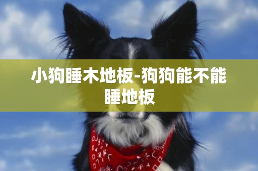 小狗睡木地板-狗狗能不能睡地板