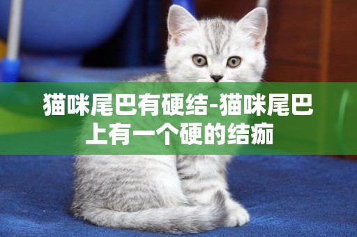 貓咪尾巴有硬結-貓咪尾巴上有一個硬的結痂