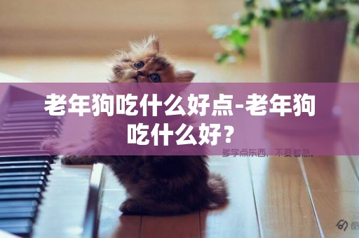 老年狗吃什么好點-老年狗吃什么好？