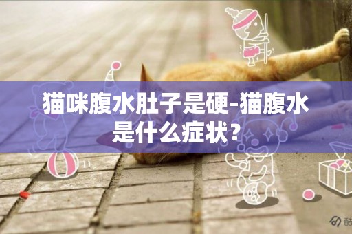 貓咪腹水肚子是硬-貓腹水是什么癥狀？