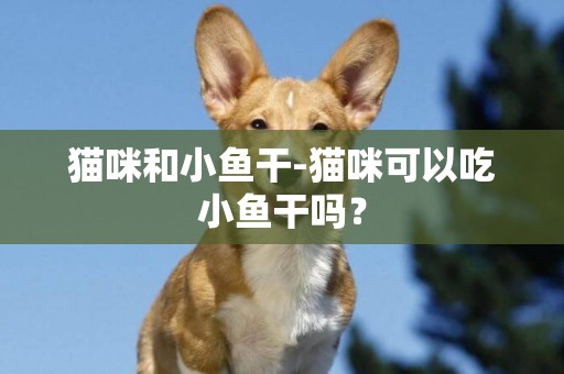 貓咪和小魚干-貓咪可以吃小魚干嗎？