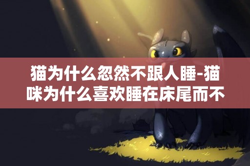 貓為什么忽然不跟人睡-貓咪為什么喜歡睡在床尾而不是和人睡在一頭？