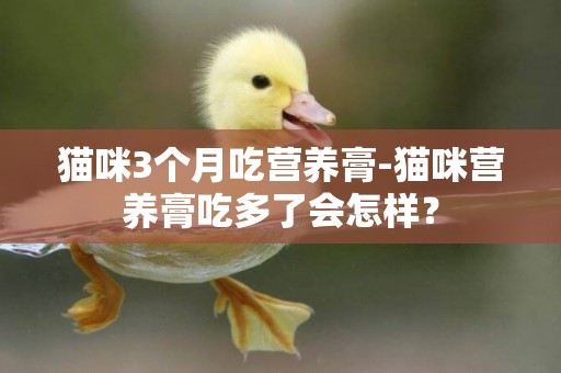 貓咪3個月吃營養膏-貓咪營養膏吃多了會怎樣？