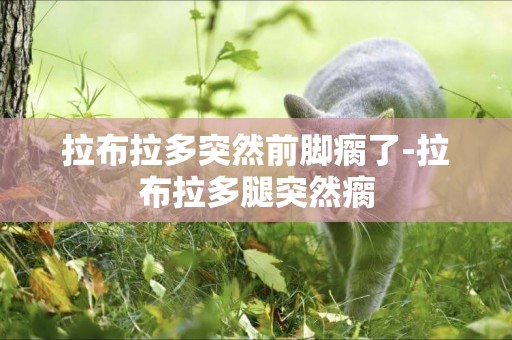 拉布拉多突然前腳瘸了-拉布拉多腿突然瘸