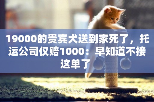 19000的貴賓犬送到家死了，托運公司僅賠1000：早知道不接這單了 