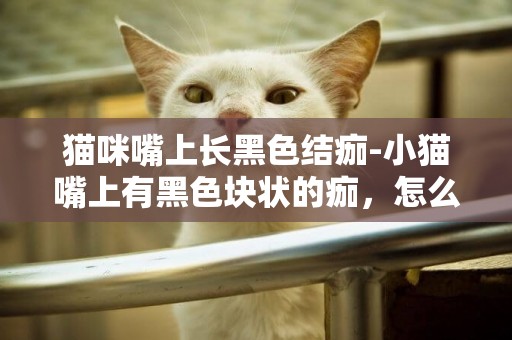貓咪嘴上長黑色結痂-小貓嘴上有黑色塊狀的痂，怎么回事求解