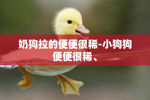 奶狗拉的便便很稀-小狗狗便便很稀、