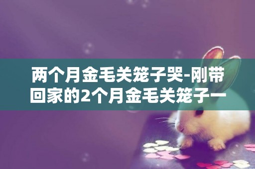 兩個月金毛關籠子哭-剛帶回家的2個月金毛關籠子一直叫怎么辦