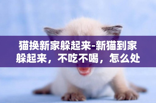 貓換新家躲起來-新貓到家躲起來，不吃不喝，怎么處理？
