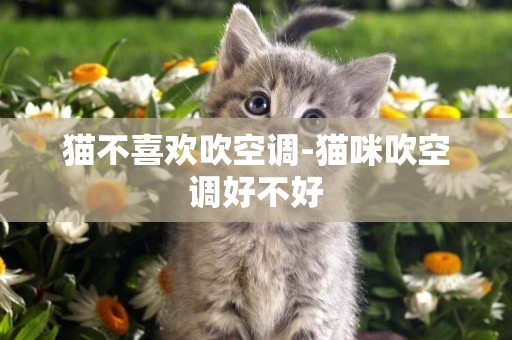 貓不喜歡吹空調-貓咪吹空調好不好