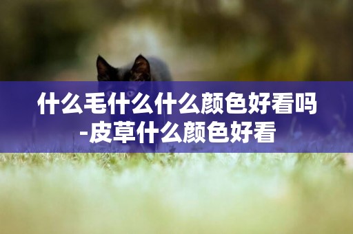 什么毛什么什么顏色好看嗎-皮草什么顏色好看
