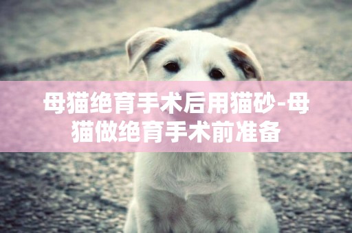 母貓絕育手術后用貓砂-母貓做絕育手術前準備