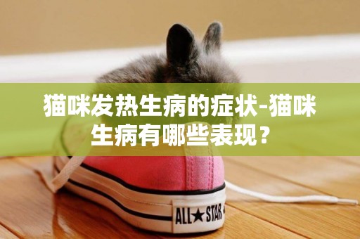 貓咪發熱生病的癥狀-貓咪生病有哪些表現？