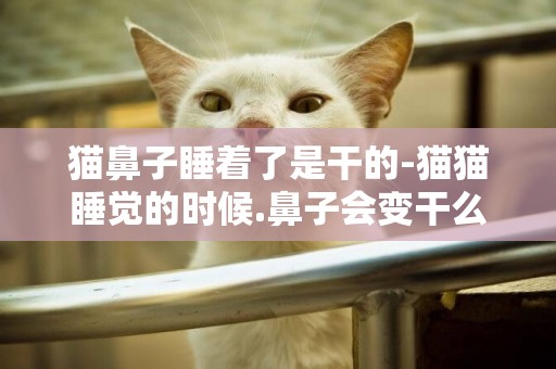 貓鼻子睡著了是干的-貓貓睡覺的時候.鼻子會變干么?