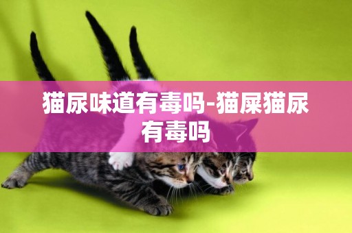 貓尿味道有毒嗎-貓屎貓尿有毒嗎