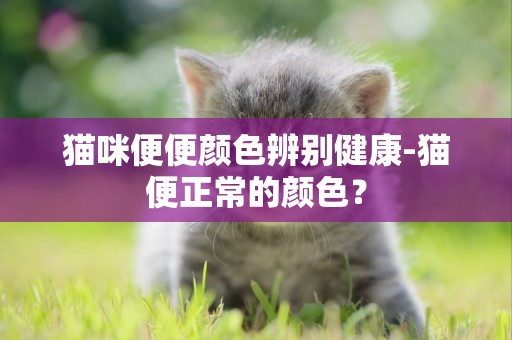 貓咪便便顏色辨別健康-貓便正常的顏色？