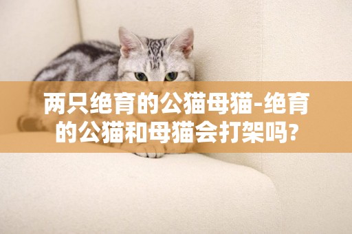 兩只絕育的公貓母貓-絕育的公貓和母貓會打架嗎?