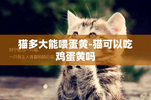 貓多大能喂蛋黃-貓可以吃雞蛋黃嗎