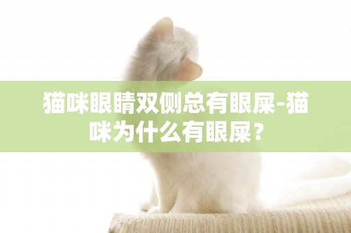 貓咪眼睛雙側總有眼屎-貓咪為什么有眼屎？