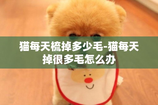 貓每天梳掉多少毛-貓每天掉很多毛怎么辦