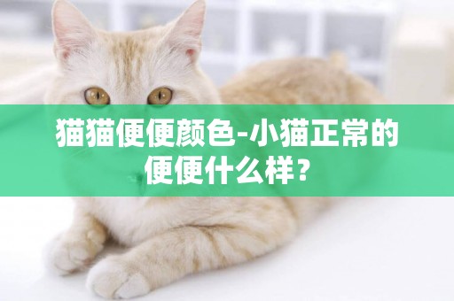 貓貓便便顏色-小貓正常的便便什么樣？