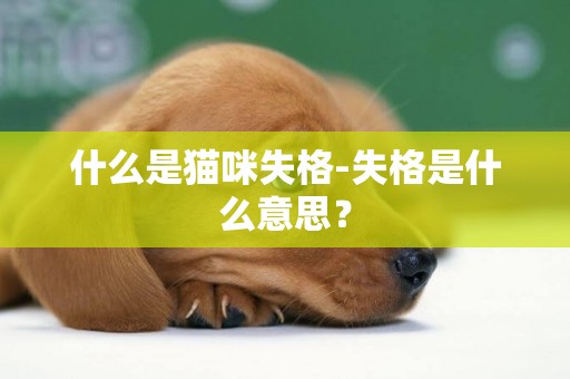 什么是貓咪失格-失格是什么意思？
