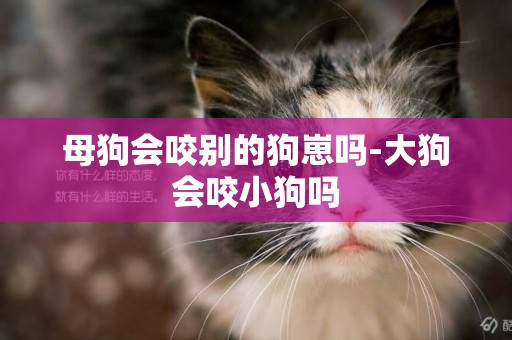 母狗會咬別的狗崽嗎-大狗會咬小狗嗎