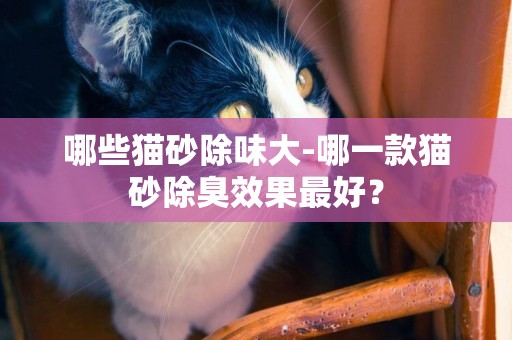 哪些貓砂除味大-哪一款貓砂除臭效果最好？