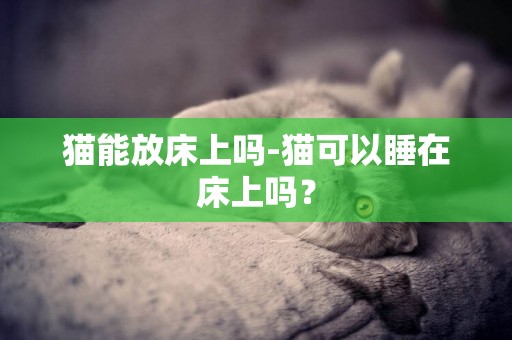 貓能放床上嗎-貓可以睡在床上嗎？