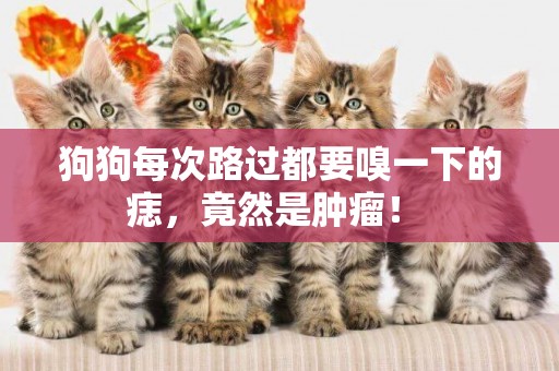 狗狗每次路過都要嗅一下的痣，竟然是腫瘤！ 