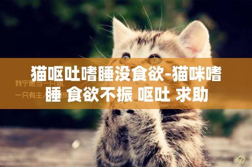 貓嘔吐嗜睡沒食欲-貓咪嗜睡 食欲不振 嘔吐 求助