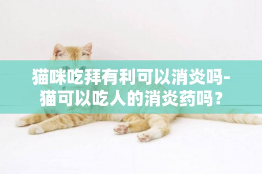 貓咪吃拜有利可以消炎嗎-貓可以吃人的消炎藥嗎？
