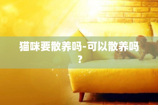 貓咪要散養嗎-可以散養嗎？