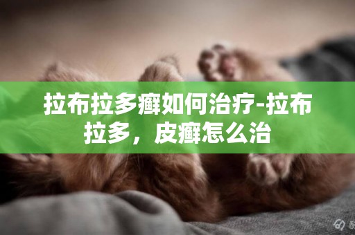 拉布拉多癬如何治療-拉布拉多，皮癬怎么治