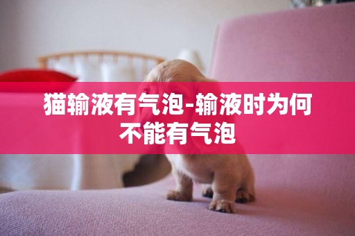 貓輸液有氣泡-輸液時為何不能有氣泡