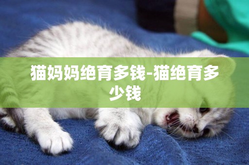 貓媽媽絕育多錢-貓絕育多少錢