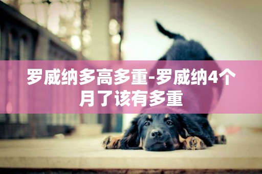 羅威納多高多重-羅威納4個月了該有多重