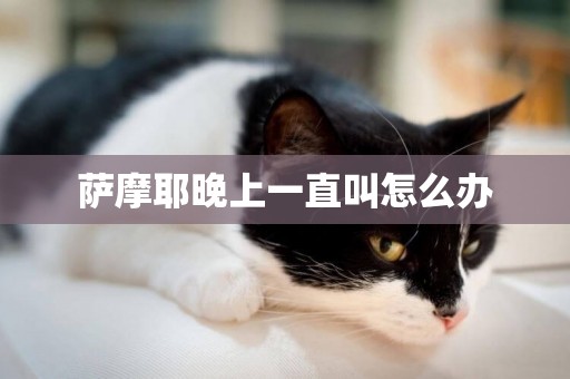 薩摩耶晚上一直叫怎么辦