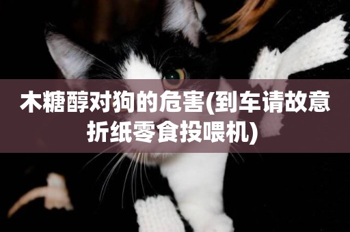 木糖醇對狗的危害(到車請故意折紙零食投喂機) 