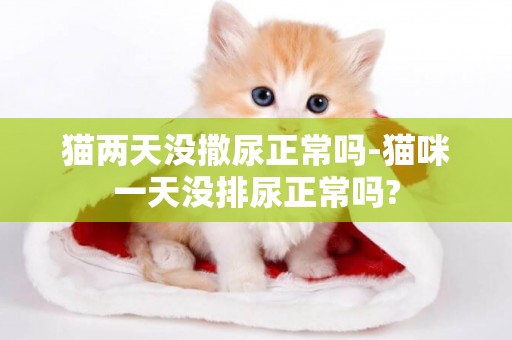 貓兩天沒撒尿正常嗎-貓咪一天沒排尿正常嗎?