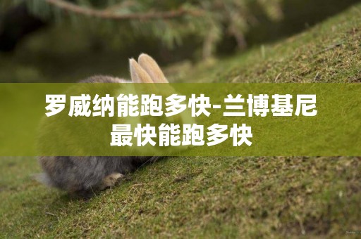 羅威納能跑多快-蘭博基尼最快能跑多快